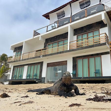 比亚米尔港Cormorant Beach House住宿加早餐旅馆 外观 照片