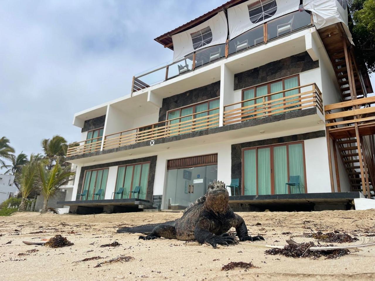 比亚米尔港Cormorant Beach House住宿加早餐旅馆 外观 照片