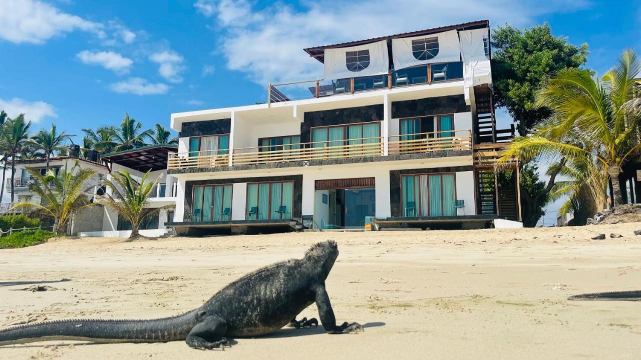 比亚米尔港Cormorant Beach House住宿加早餐旅馆 外观 照片