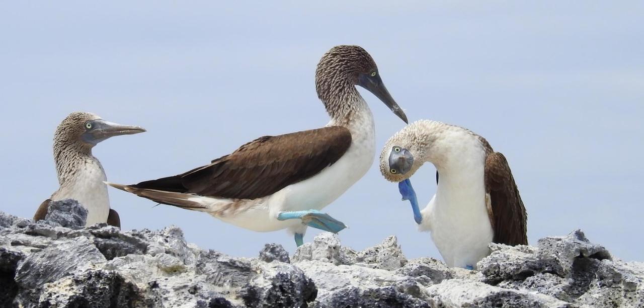 比亚米尔港Cormorant Beach House住宿加早餐旅馆 外观 照片