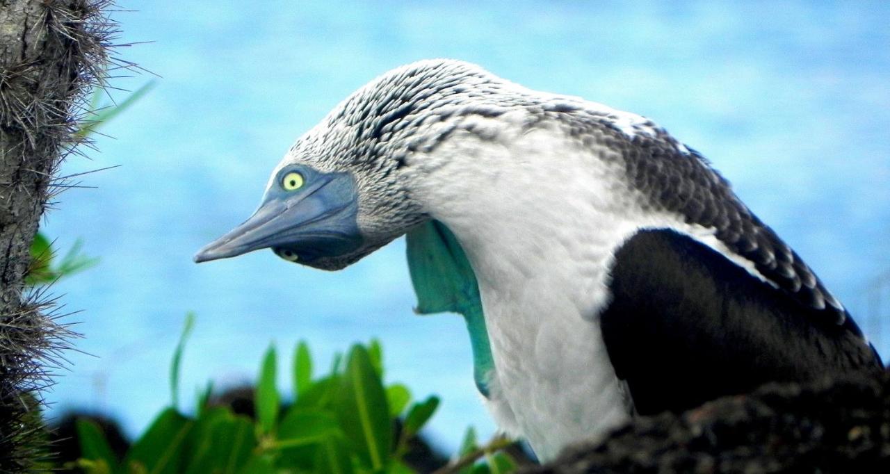 比亚米尔港Cormorant Beach House住宿加早餐旅馆 外观 照片